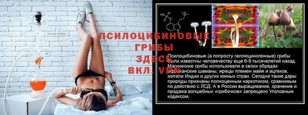 PSILOCYBIN Верхний Тагил