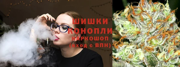 PSILOCYBIN Верхний Тагил