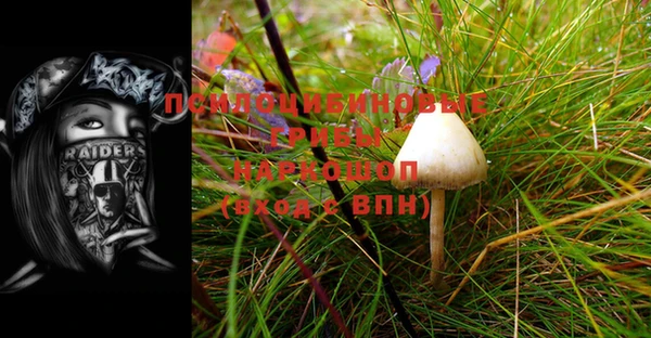 PSILOCYBIN Верхний Тагил